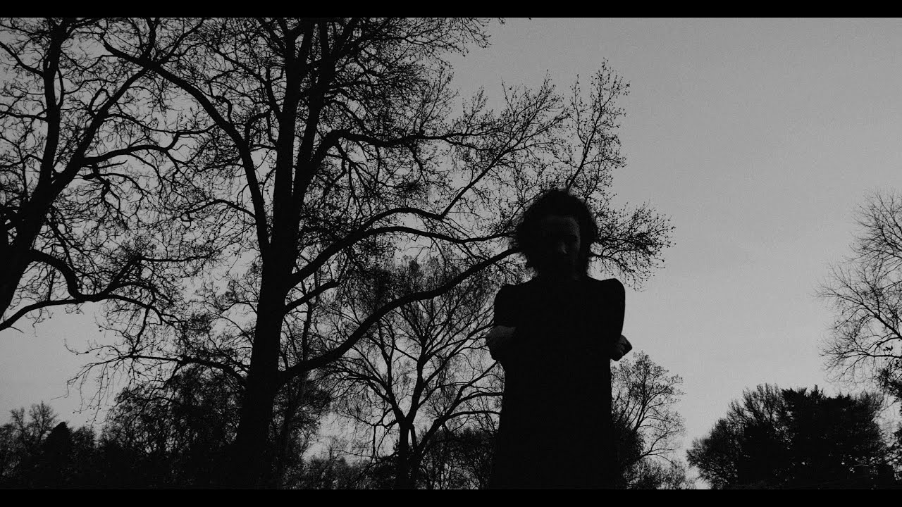 Ashton Nyte - Waiting For A Voice (official video)