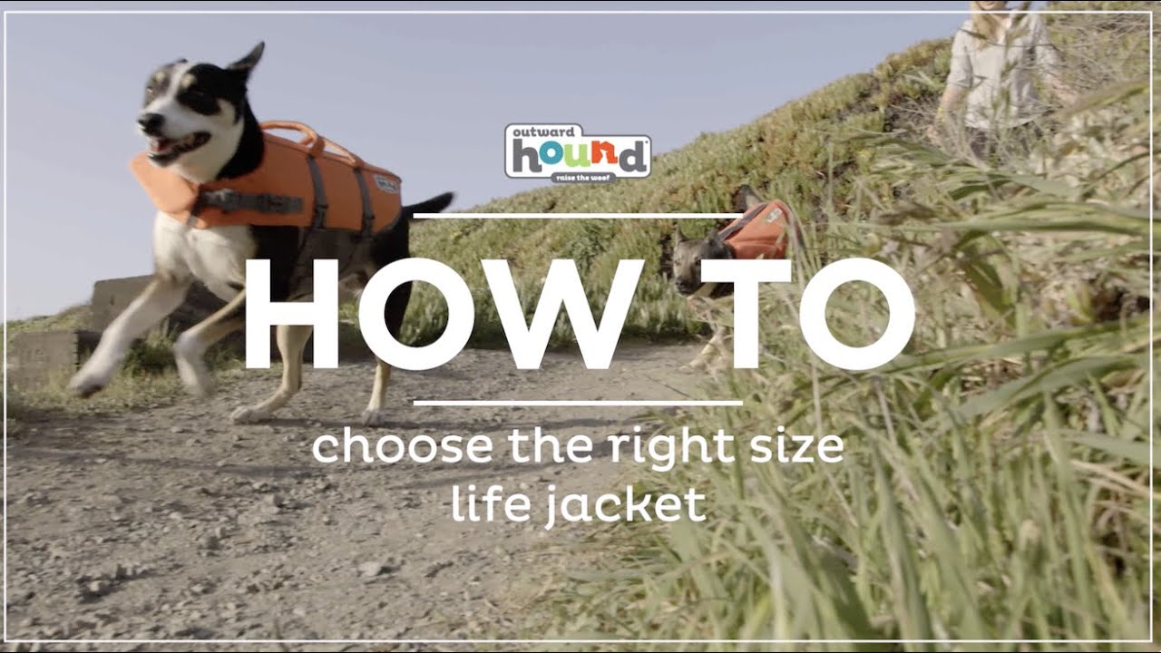 How to choose the right size Outward Hound Life Jacket