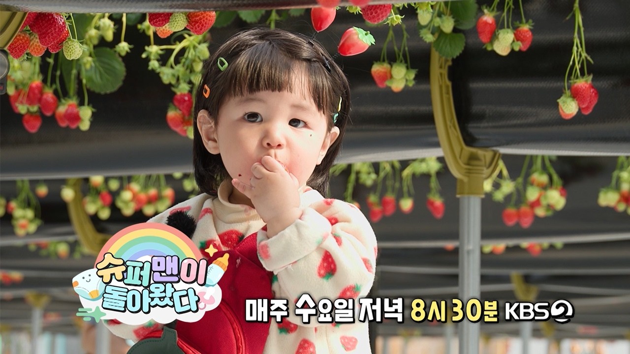 [예고] 🌸봄맞이 소풍에 나선 하루🌸 | 슈퍼맨이 돌아왔다 KBS 260422 방송