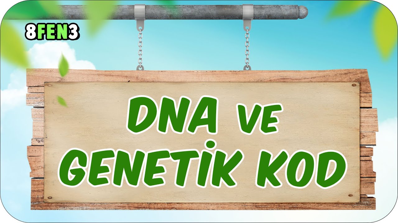 DNA ve Genetik Kod 🧬 8. Sınıf Fen #2024LGS