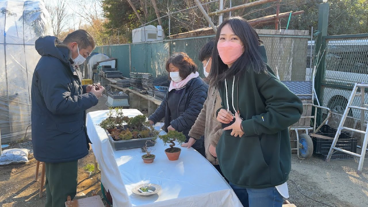 盆栽大野さんでお買い物＆軽くお手入れ／Shopping and initial care at your favorite bonsai garden