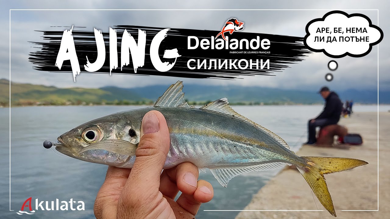 Ajing на кокали. Силикони на Delalande