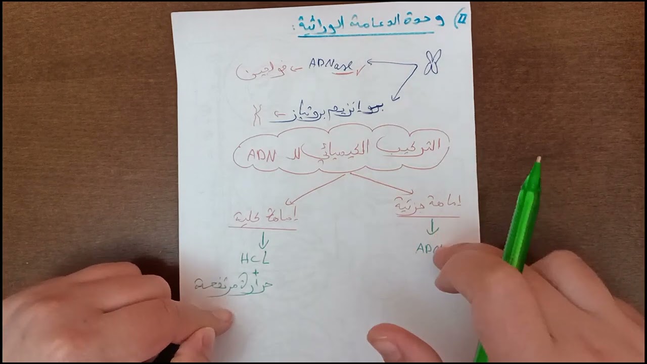 مراجعة شاملة لثانية ثانوي حول الخلية و ADN🥰مترطيش