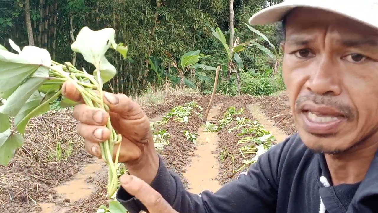 SIMAK ILMUNYA & TERAPKAN JIKA INGIN SUKSES