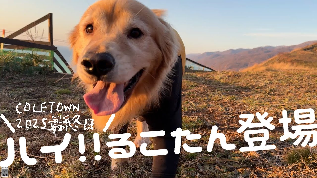 ほのぼのムードが一転！一瞬で自分ワールドに持って行く才能に脱帽です