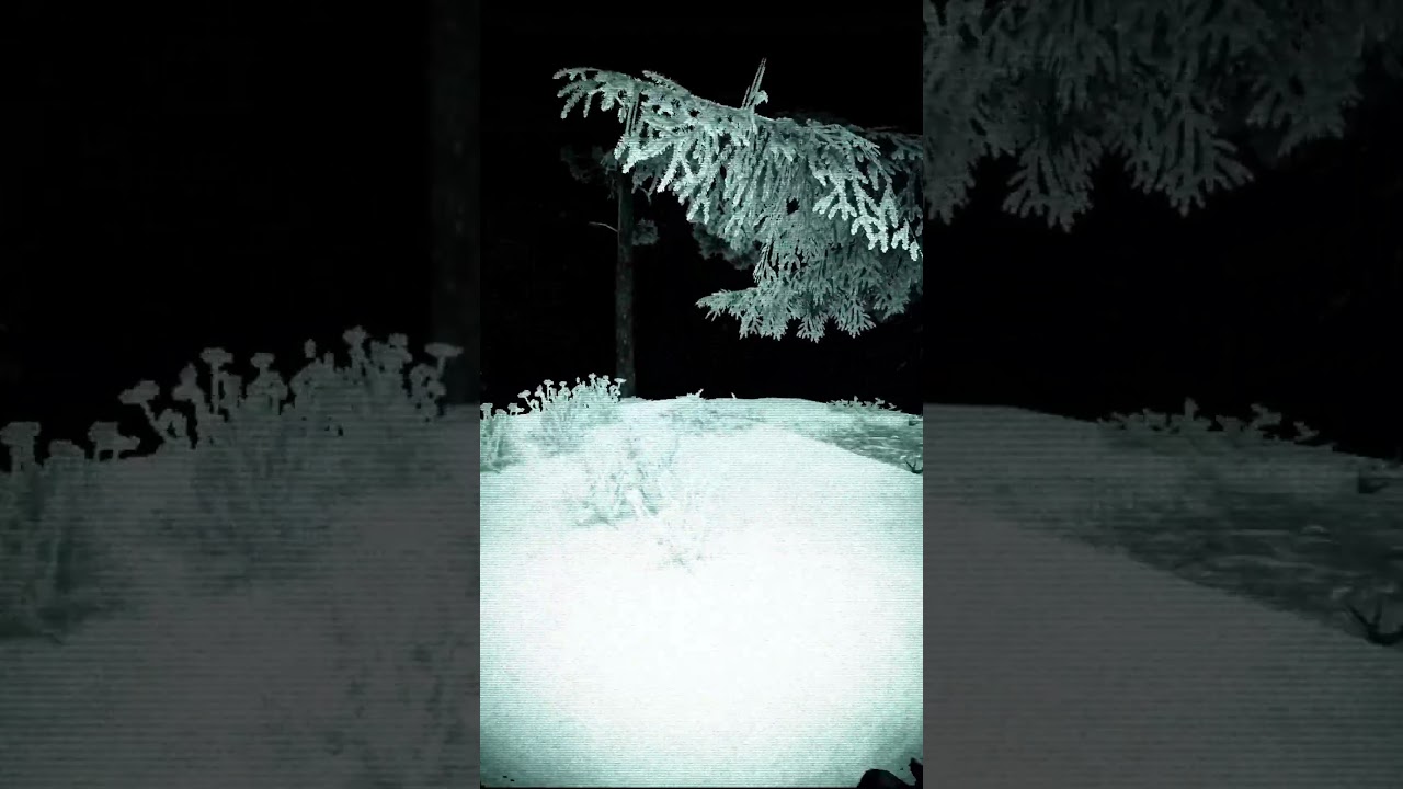 STALCRAFT:X FOUND FOOTAGE #2
