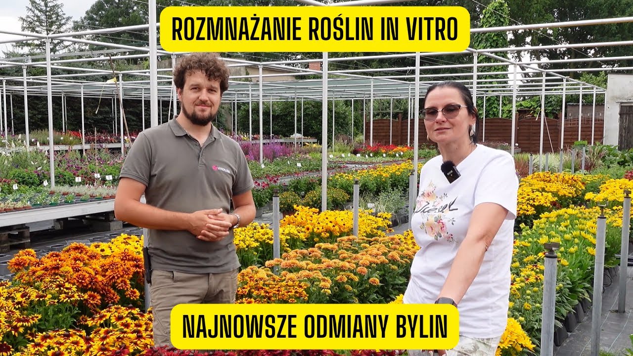 Jak powstają rośliny do Twojego ogrodu? – Czym jest rozmnażanie in vitro? (Z wizytą w Vitroflora)