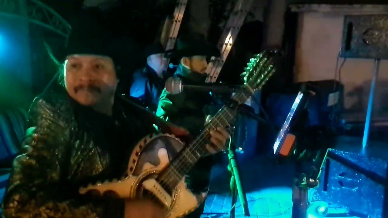 LA ABEJA MIOPE. ESCAPULARIO NORTEÑO