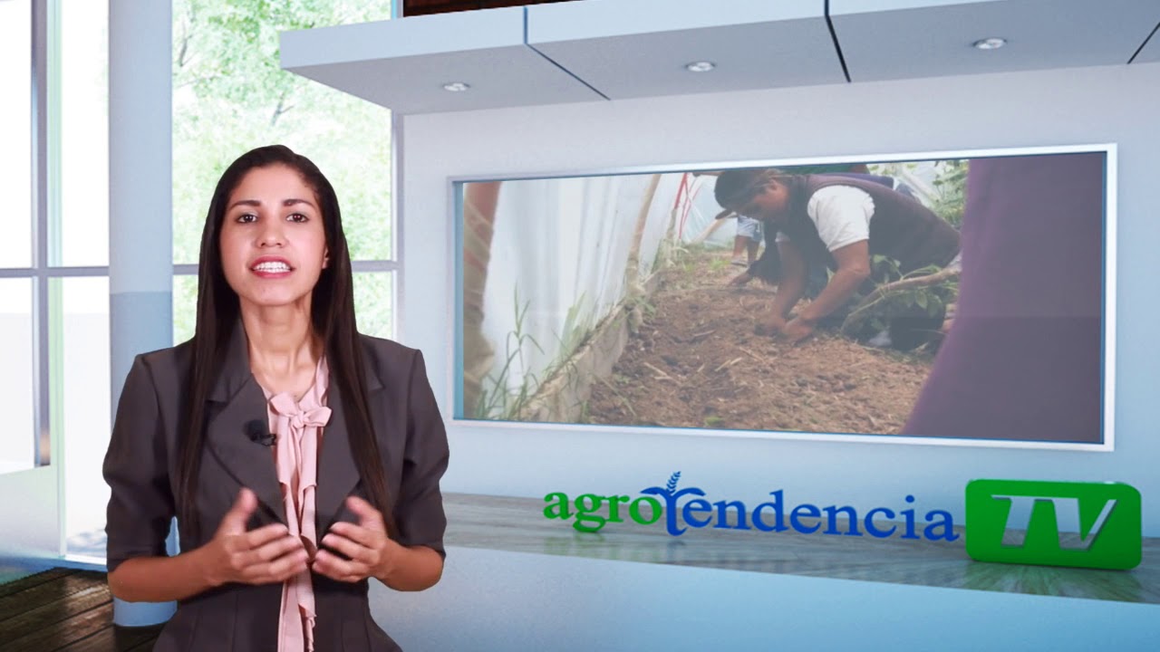 Desarrollo del sector agro en República Dominicana