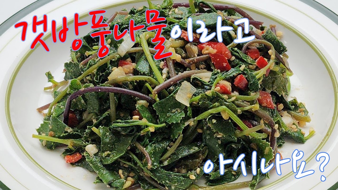 식당 사장님이 알려주신 간편하고 맛있는 두가지 버전 나물무침 레시피 [갯방풍나물무침]