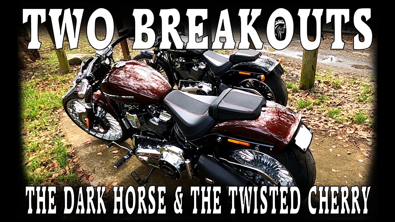 Two Harley Breakouts Ride