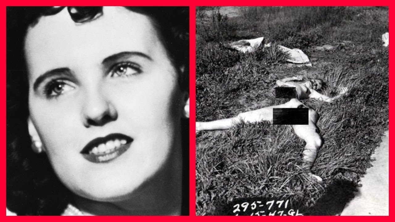 The Black Dahlia Files. #truecrime #theblackdahlia #truestory