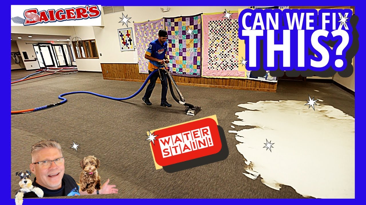 How We Clean This Water Stained Carpet in Record Time! Can You Believe It?