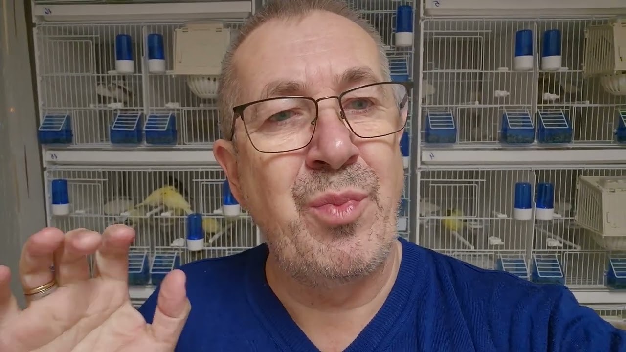 Igiena vaselor. Subiect taboo, nu-l neglijați
