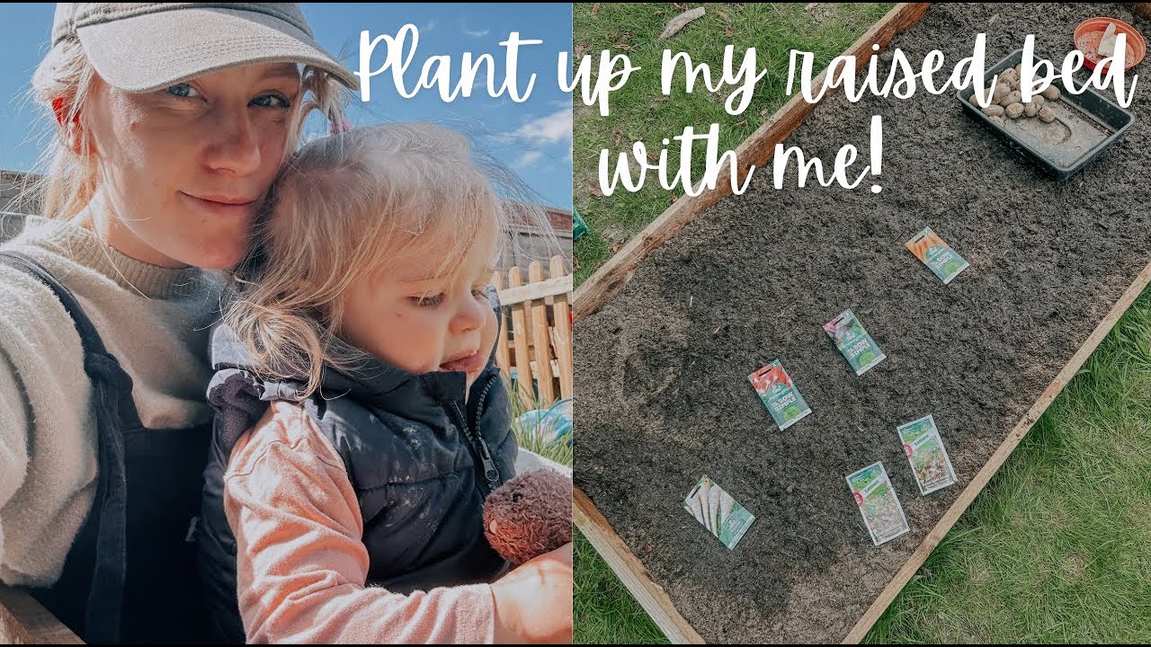 Raised Vegetable Bed Planting | Recycled Raised Bed