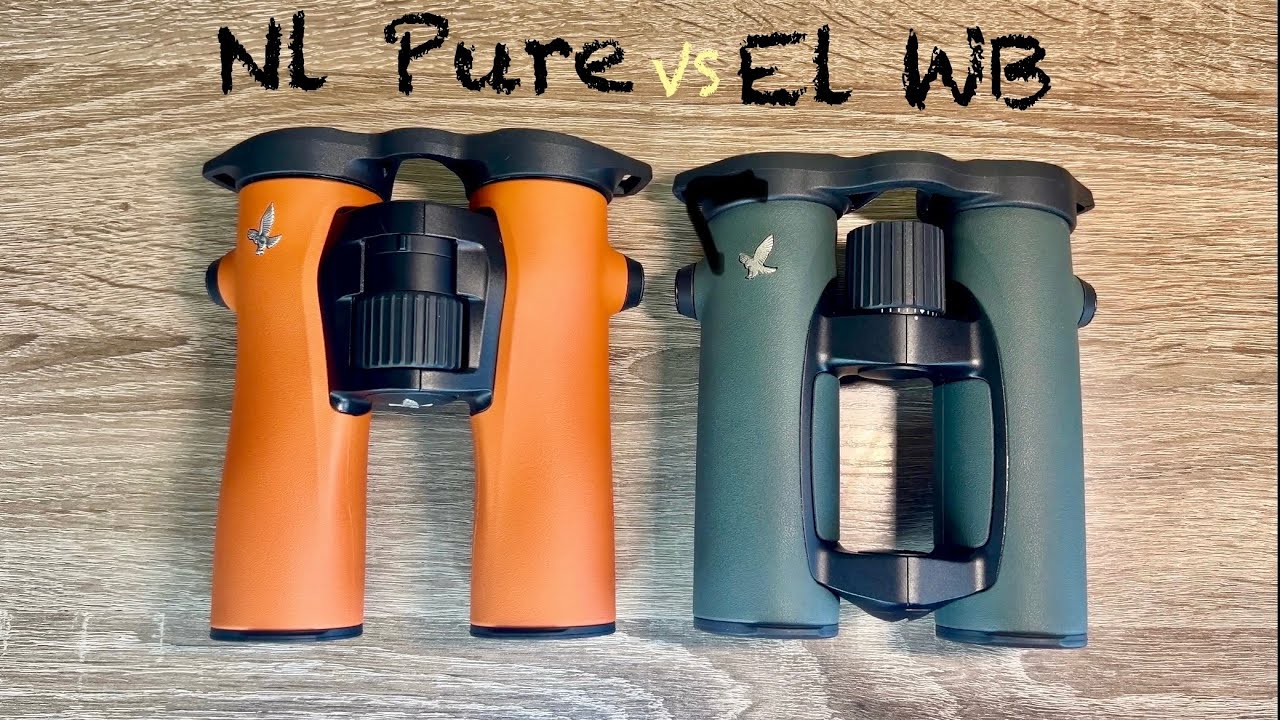 Бинокль Swarovski NL Pure 10x32  и  Swarovski EL 10x32 WB обзор и сравнение..