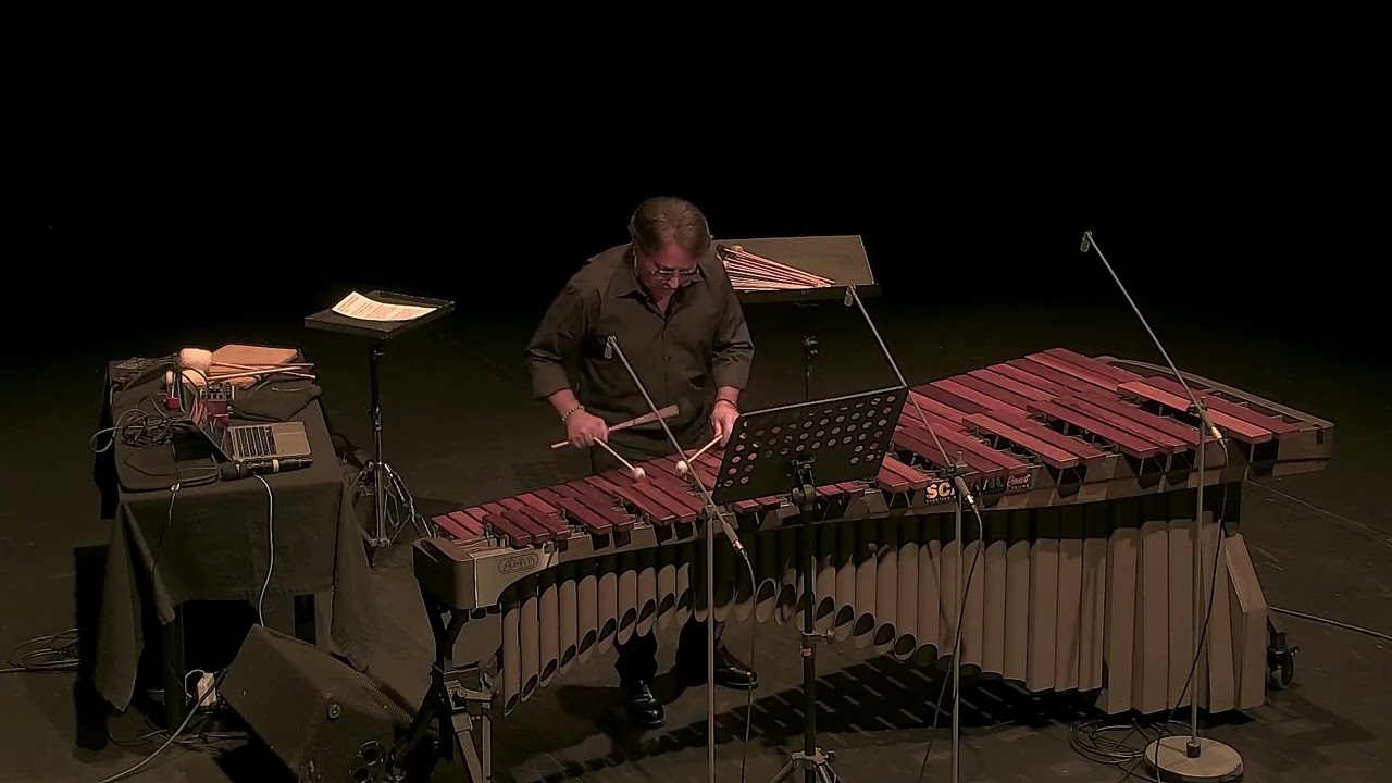marimba jazz. Sequenze Sovrapposte Daniele Di Gregorio Marimba Computer