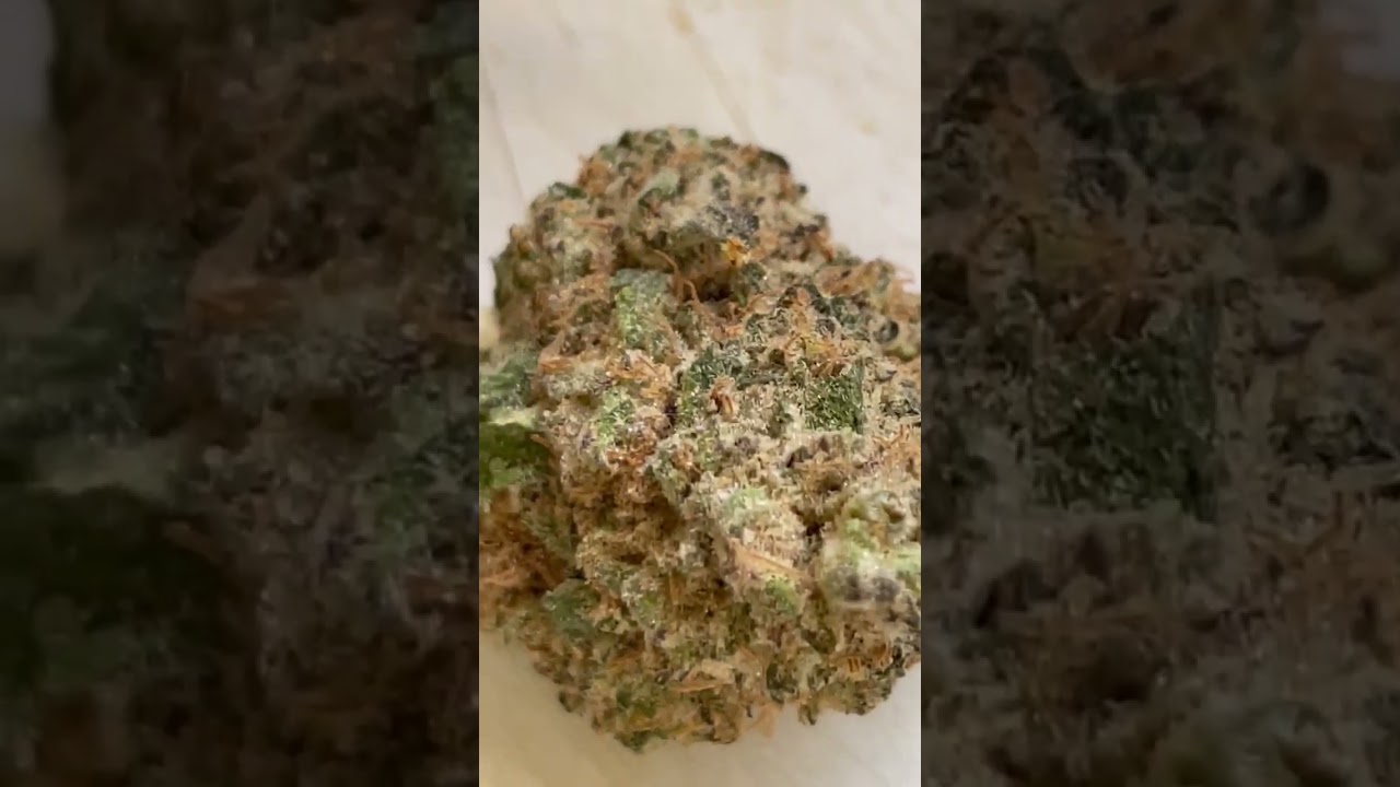SPACE AGE CAKE TILRAY