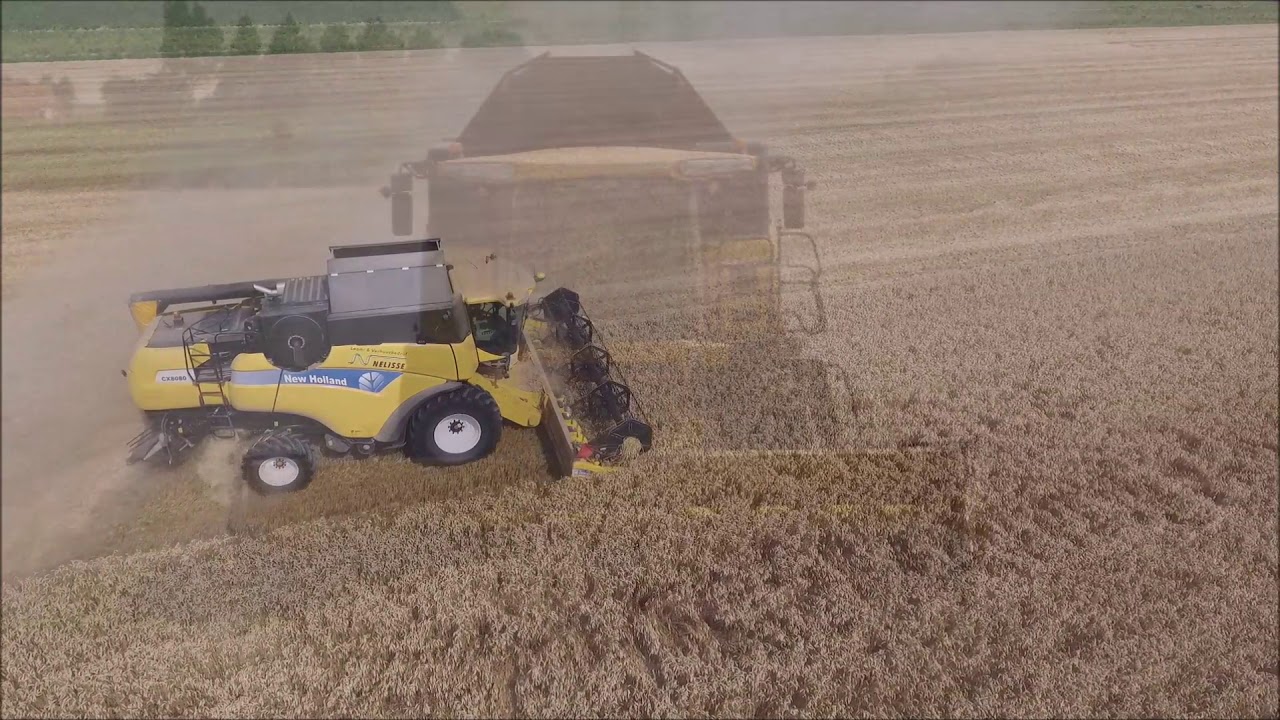 Nelisse  Agro,Grond & Infra