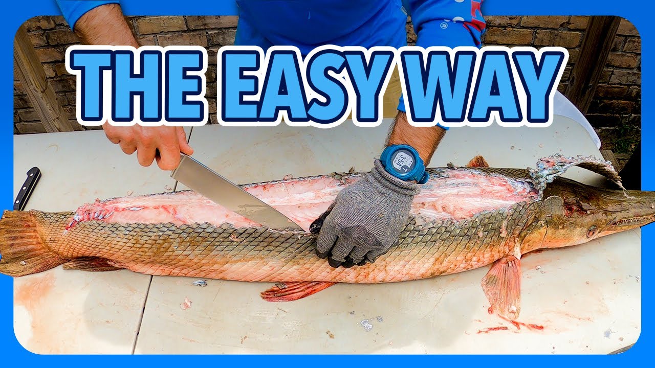 How to clean and fillet an alligator gar. (Delicious)!
