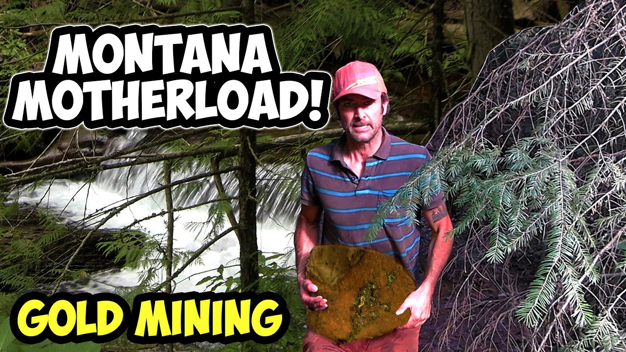 Giant Veins of Gold! Montana Mining 💰