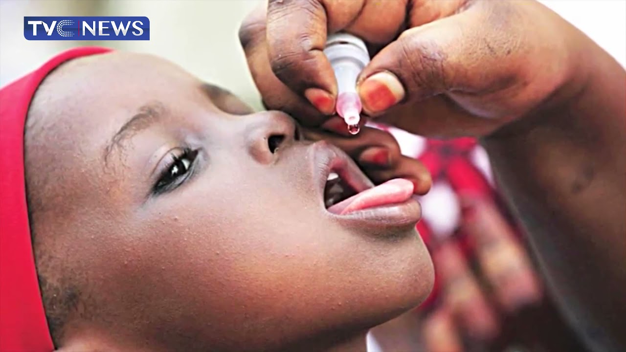 Nigeira Still Battling 'Circulating Vaccine Derived Polio Virus' Type 2