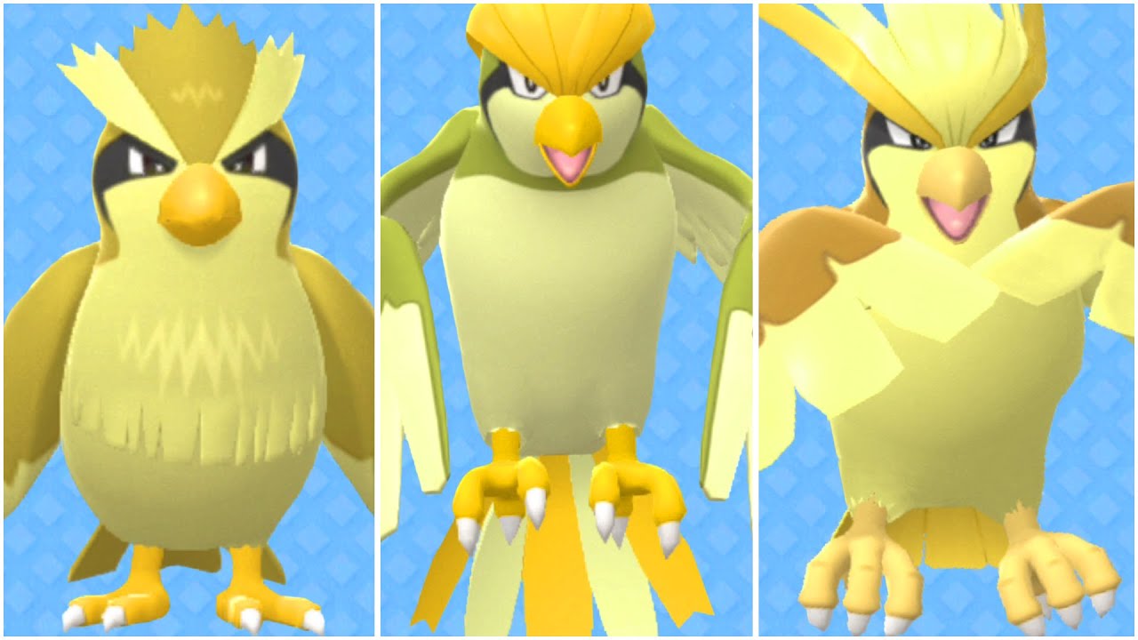 FULL PIDGEY EVOLUTION TEAM! Shiny Pidgey, Shiny Pidgeotto, Shiny Pidgeot Moveset
