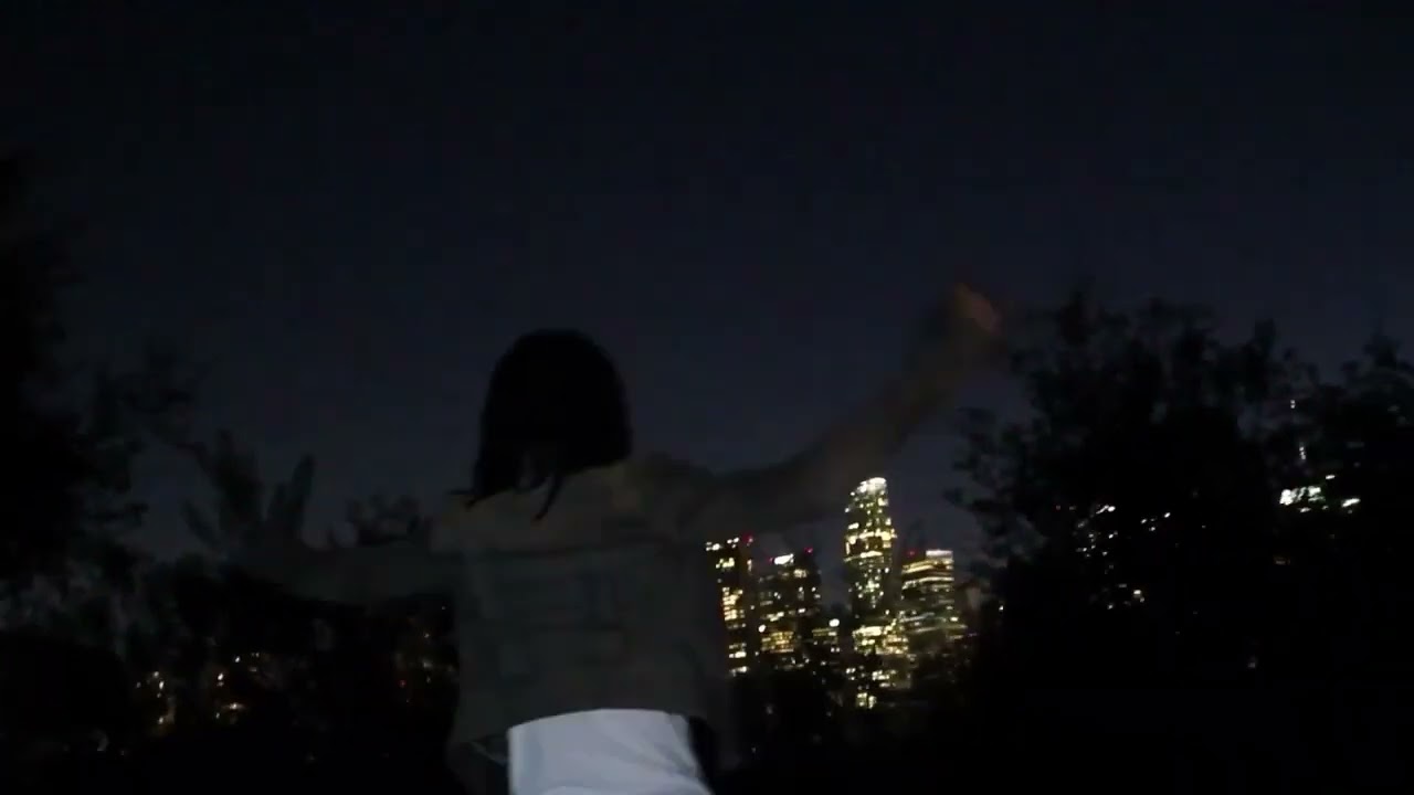 southsidesilhouette Mix II (With Transitions)