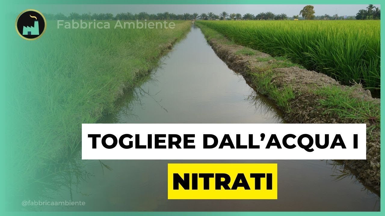 Nitrati In Acqua: Ecco l'Isola Speciale Che Elimina l'Inquinamento da Agricoltura ed Allevamenti