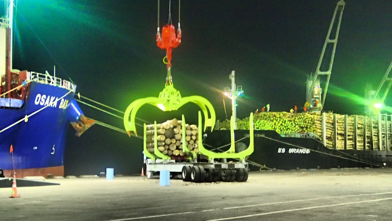 LHM550 loading logs, Bulk cargo New Zealand