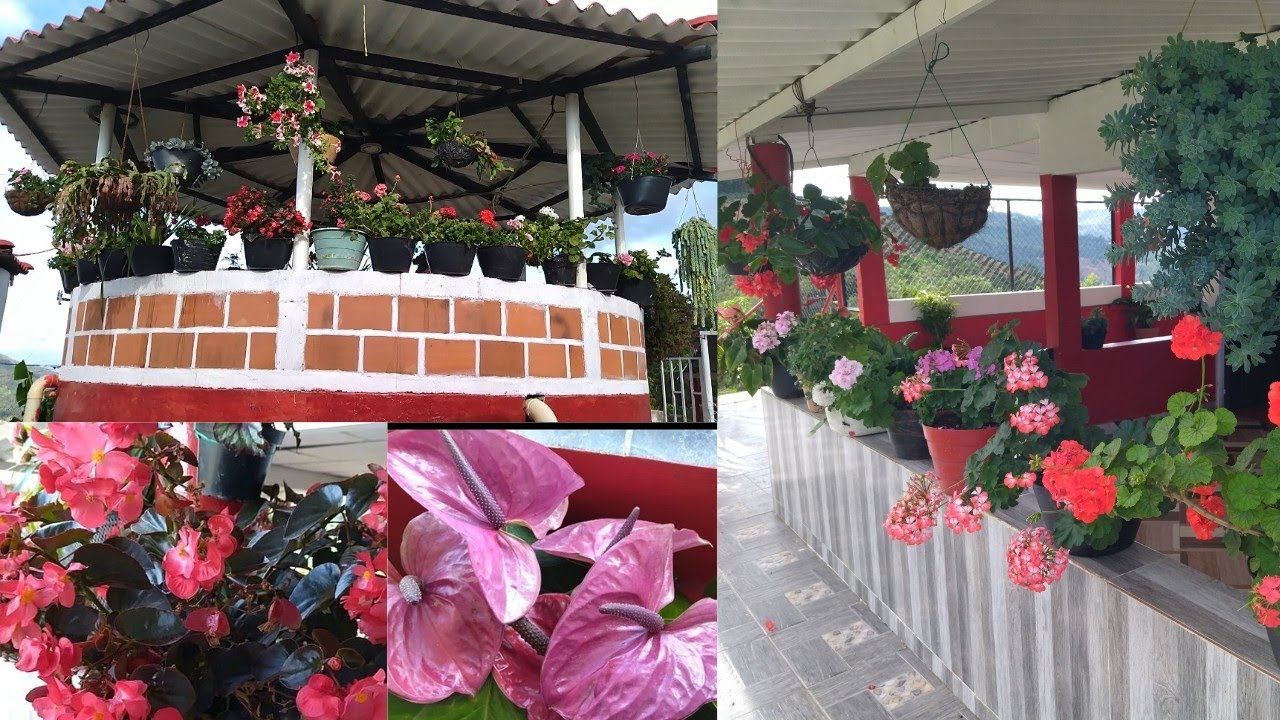 EL JARDÍN DE DOÑA ROSALBA