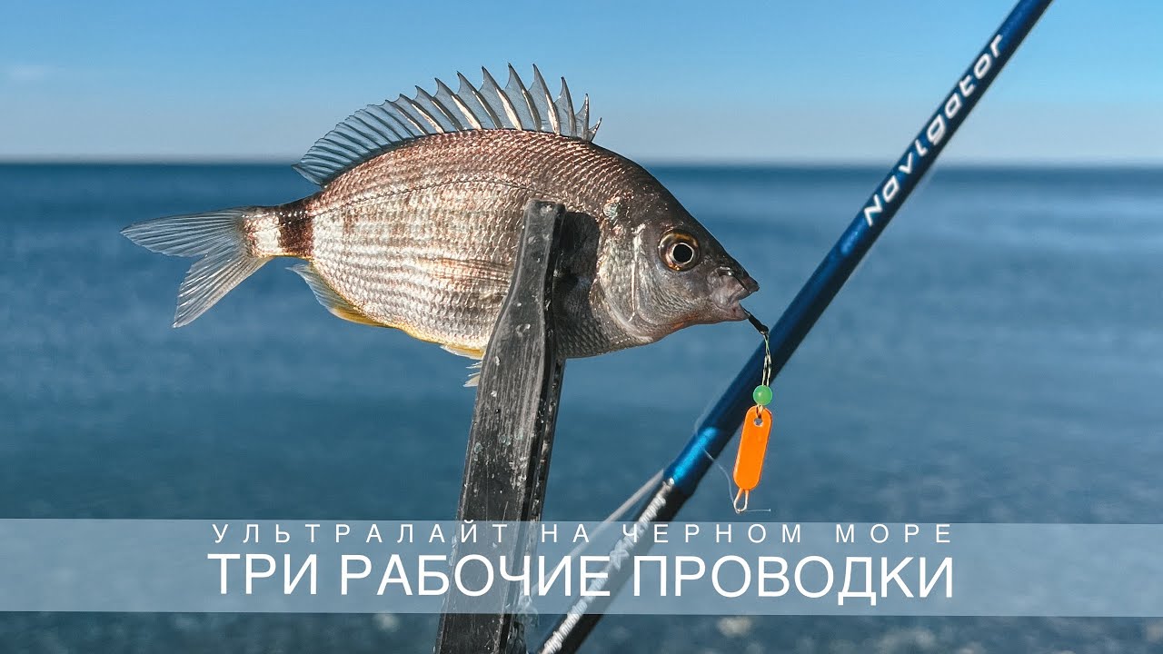 С ультралайтом в октябре🎣 Рыбалка на Черном море🐟 3 рабочие проводки✅