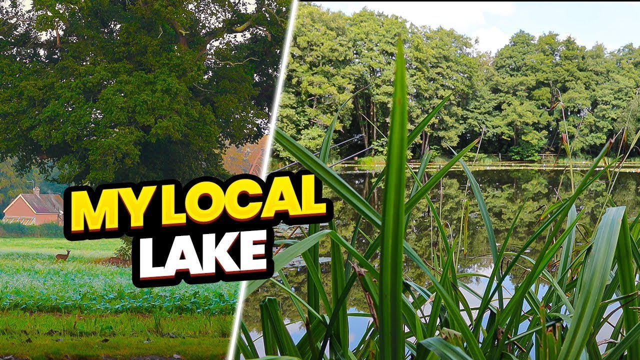 Carp Fishing A Small Local Lake
