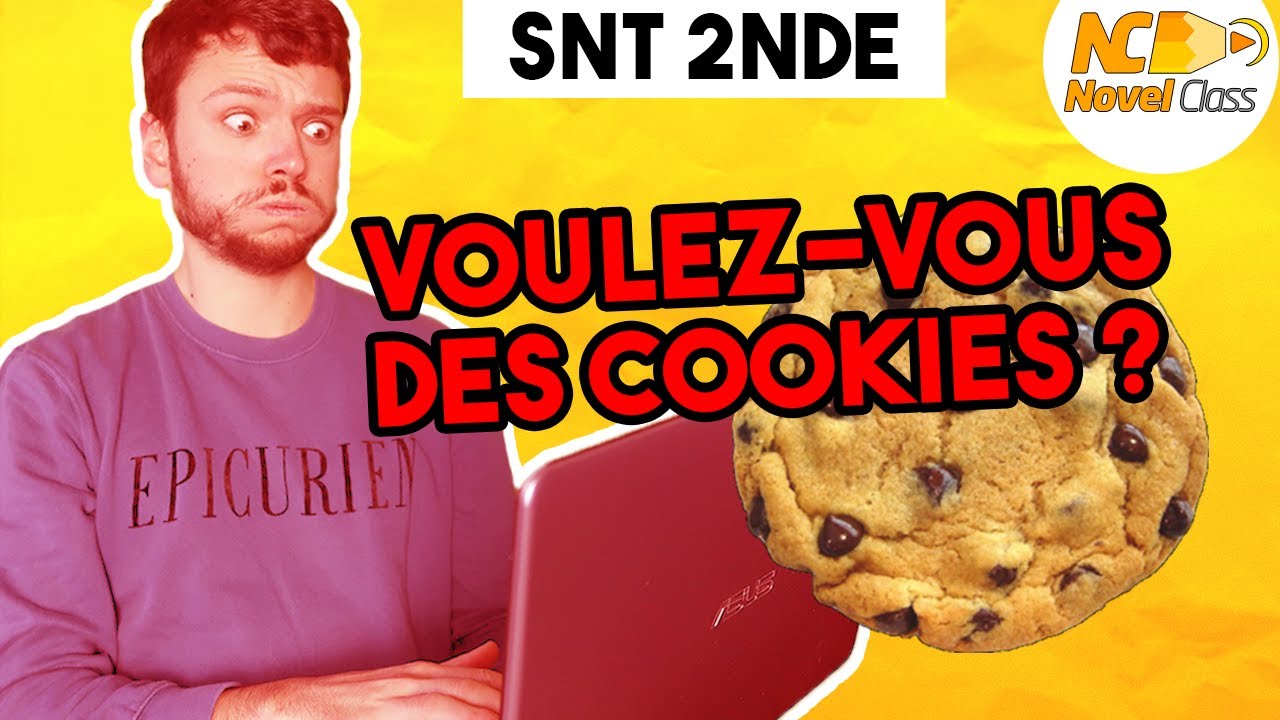 La sécurité des navigateurs - SNT Seconde | Cookies et historique de navigation
