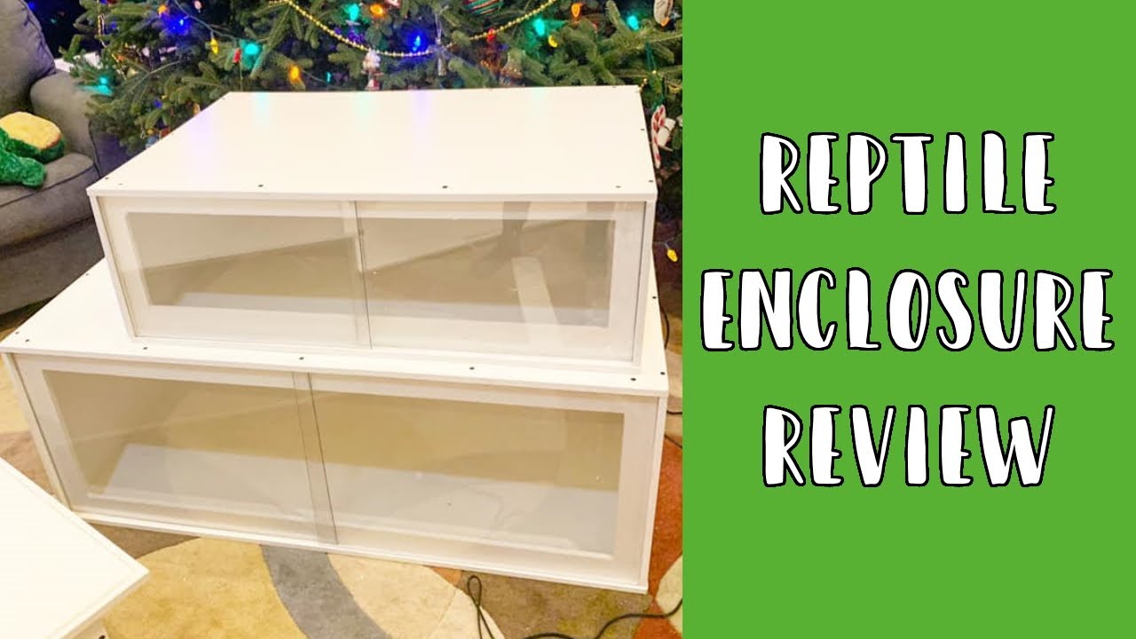Reptile Enclosure Review // Predators & Prey