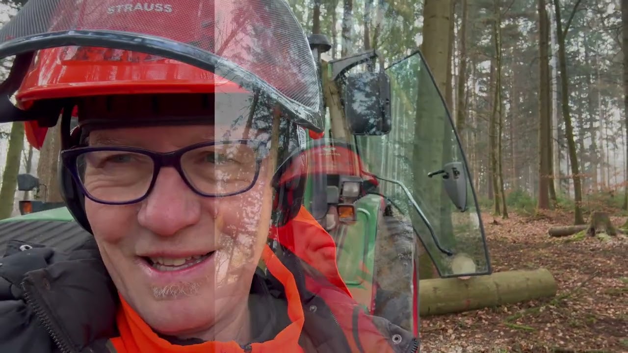 weiter fällen......