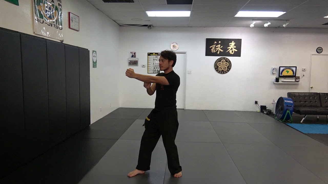 Stepping and Punching Drill 2
