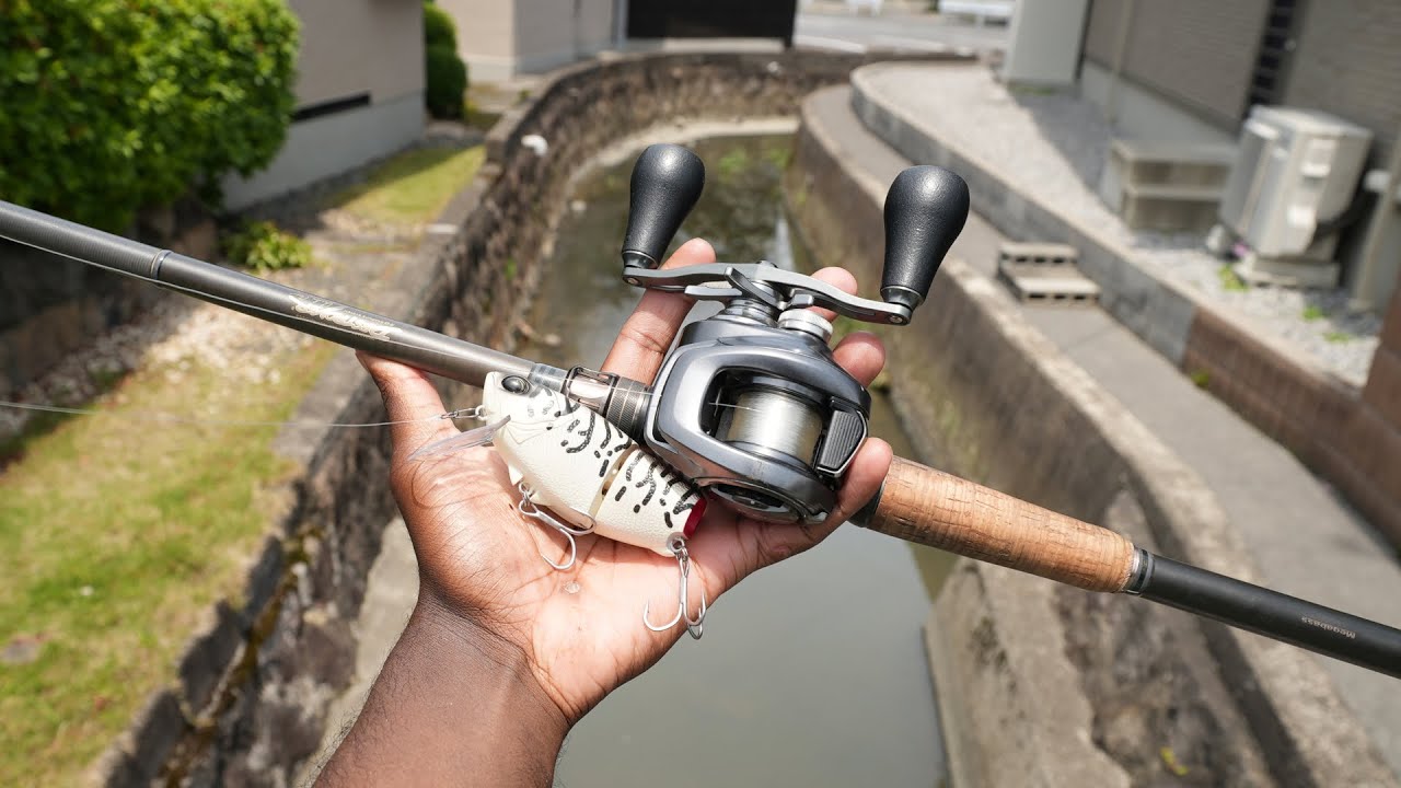 Fishing Japan's URBAN TINY Creeks For AGGRESSIVE Fish!