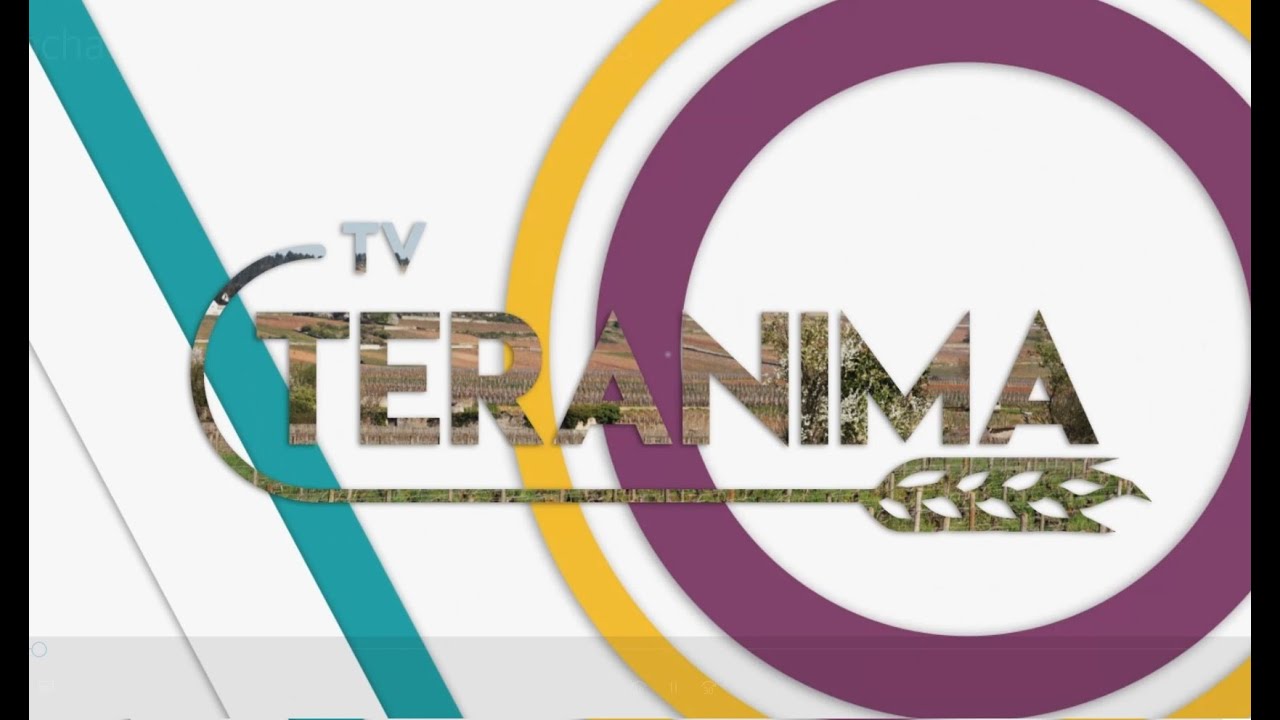 L'édito : L'innovation dans l'agroalimentaire - Teranima TV
