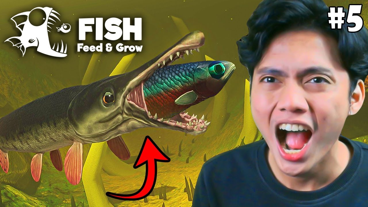 JADI IKAN ALIGATOR AUTO JADI PENGUASA RAWA-RAWA! Feed and Grow: Fish - Indonesia (Part 5)