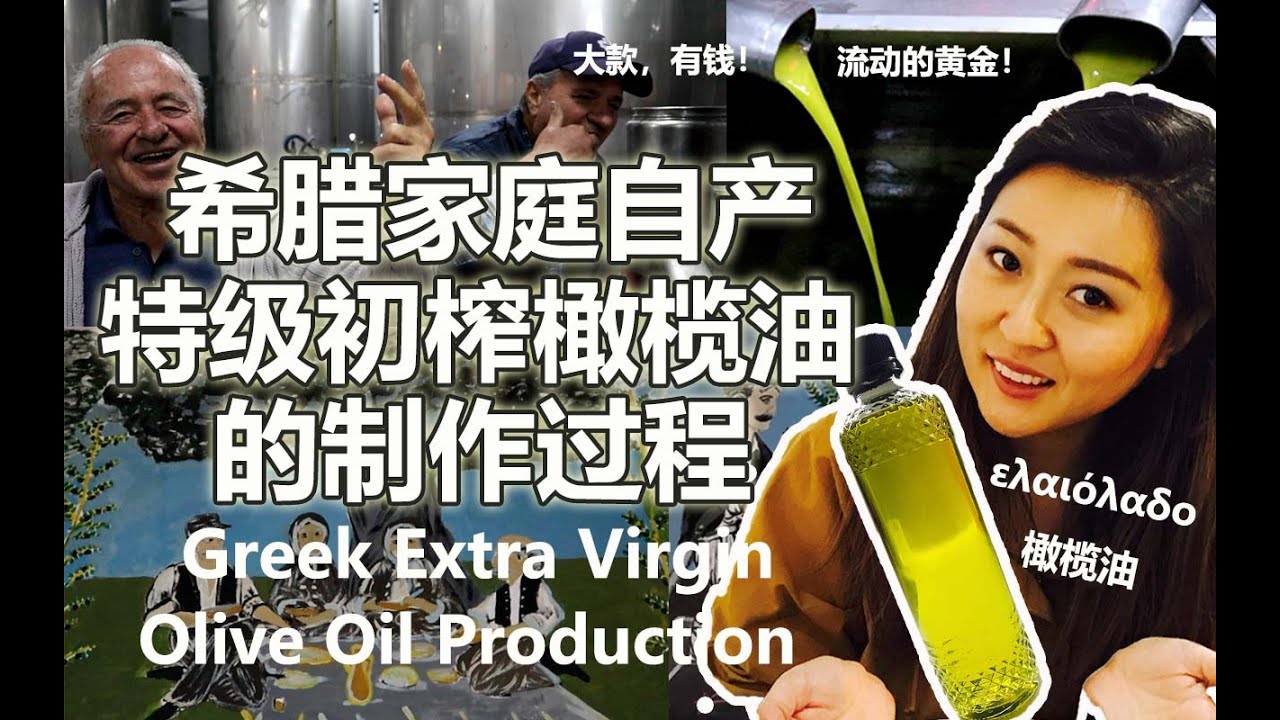 亲手采橄榄榨出顶级初榨橄榄油的全过程▎SELF PICKED OLIVE, EXTRA VIRGIN OLIVE OIL PRODUCTION