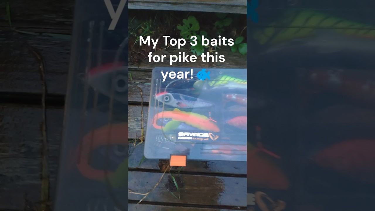 My 3 best pike lures #fishing #fishingequipment