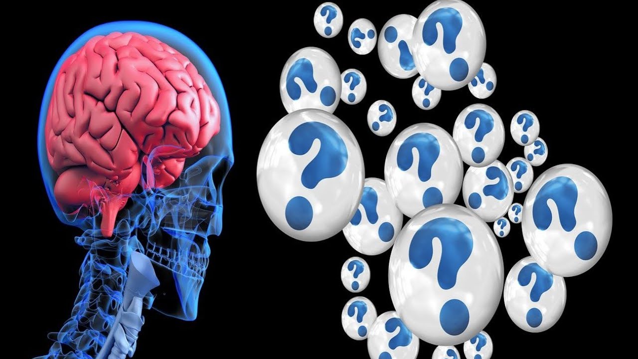 Retrain Your Brain Activating The Gps Genius