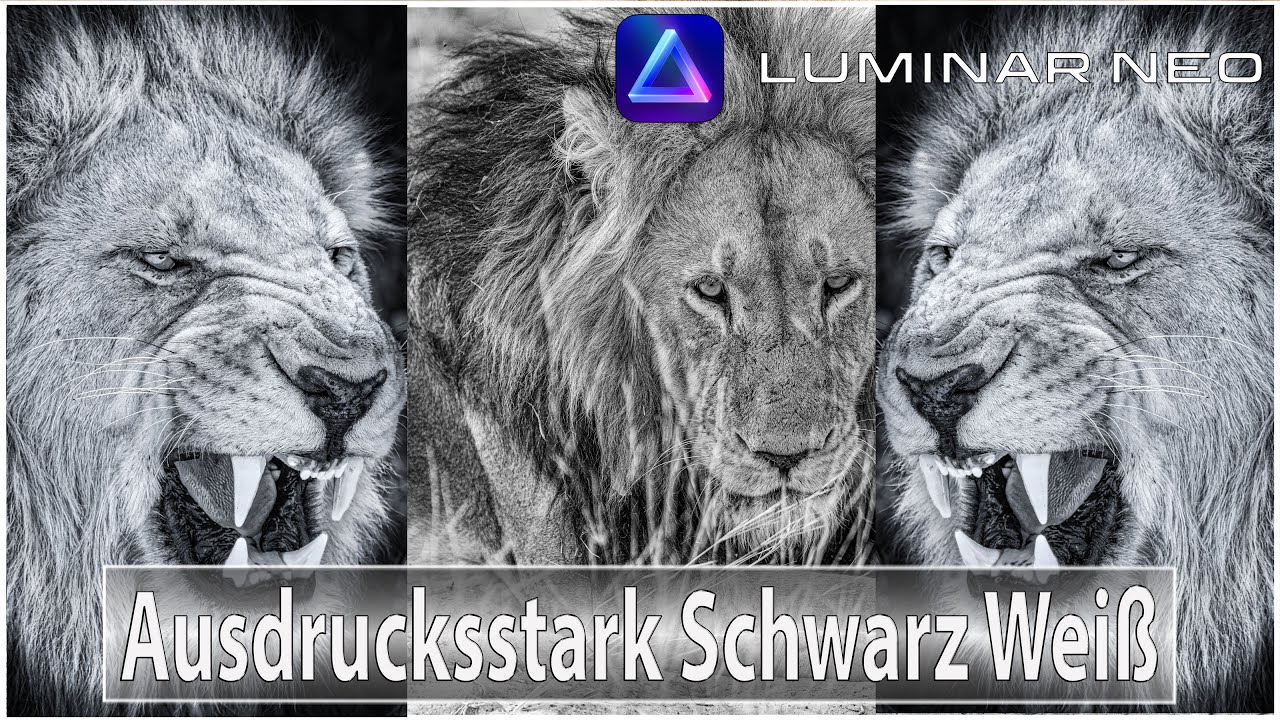 Luminar Neo - Ausdrucksstark Schwarz Weiß