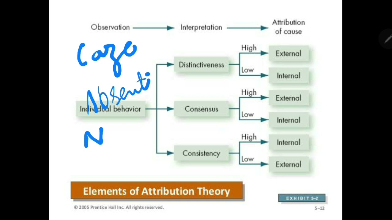 Perception | Attribution Theory | Organizational Behavior | Explained Stephen P. Robbins
