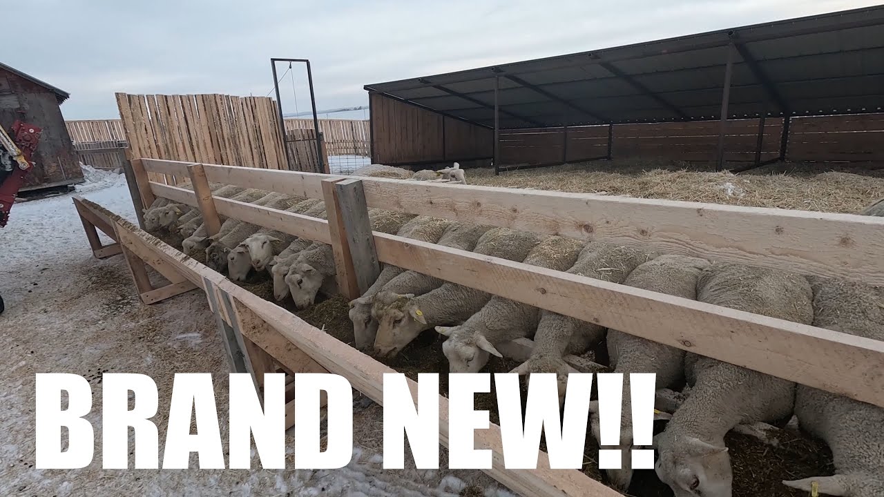 MAJOR Changes to My Sheep Farm! Part 1