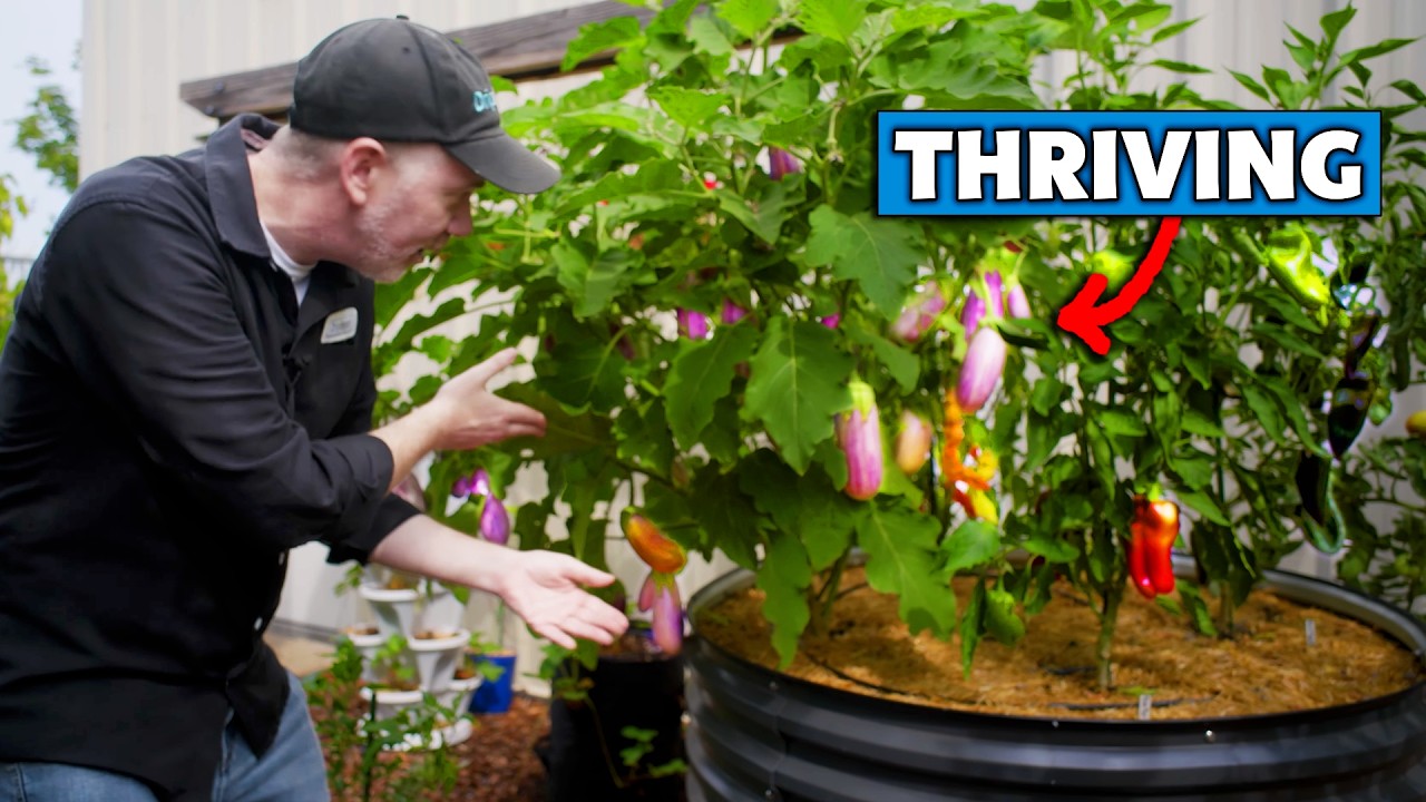 How do we Garden with Drip Irrigation? - 