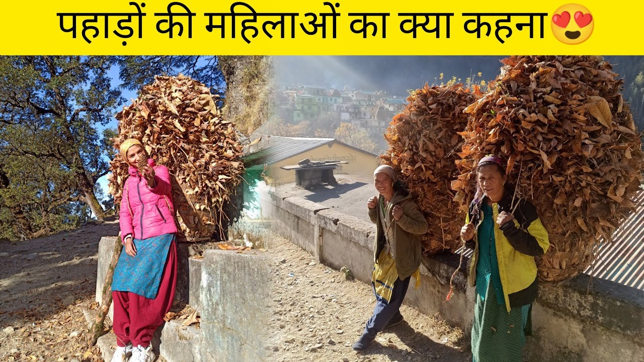 मां के साथ आज पहली बार गई जंगल 🥰@sehari_pahadan #pahadilifestyle #villagelife #jungle #familyvlog