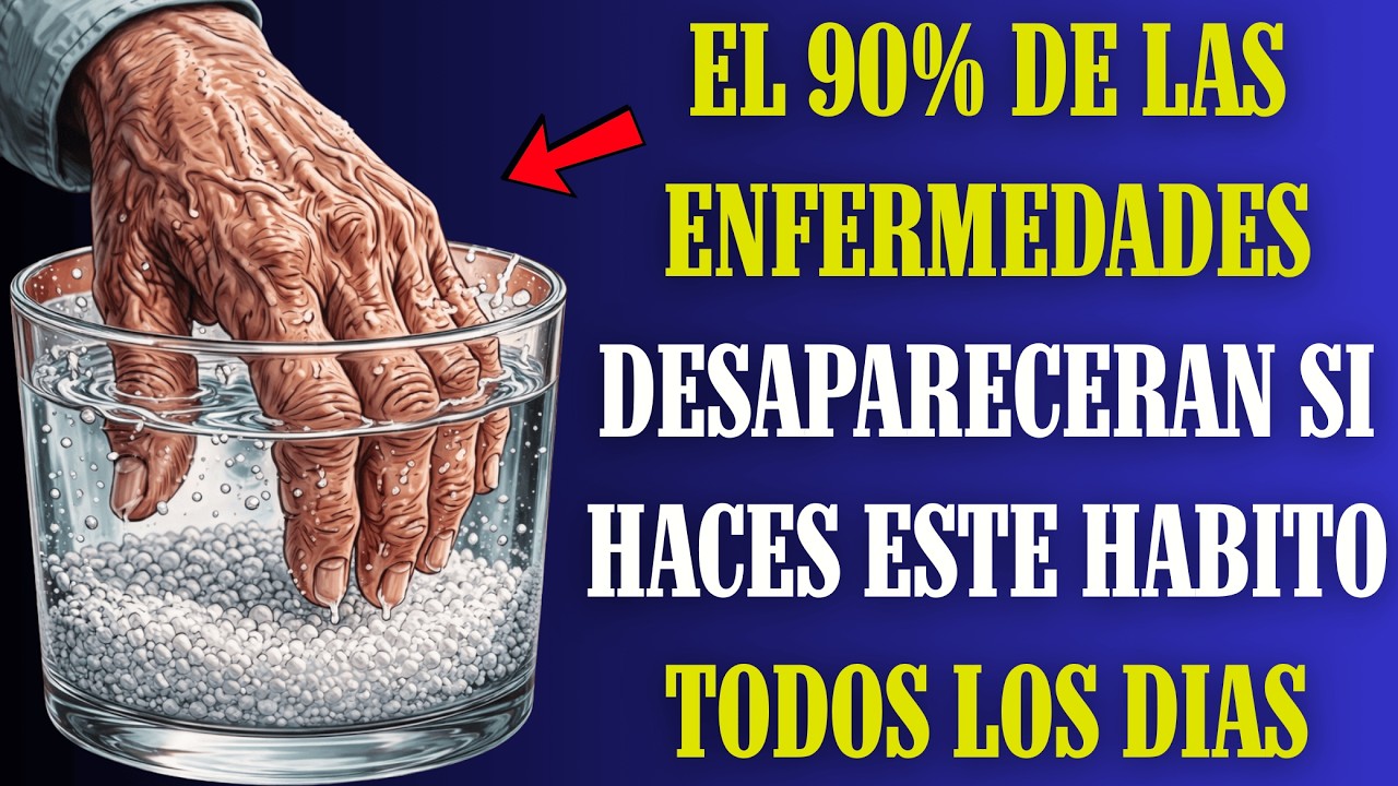 Después de los 60: 7 Hábitos Diarios que los Médicos Recomiendan para Evitar el 90% de Enfermedades