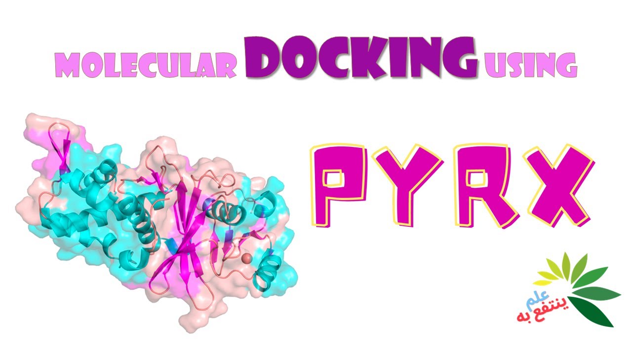 6 حلقات مجمعة عن اجراء تجارب الالتحام الجزيئي (Molecular Docking) باستخدام برنامج PyRx